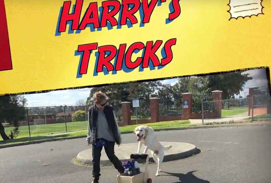 Check out Harry’s clever tricks