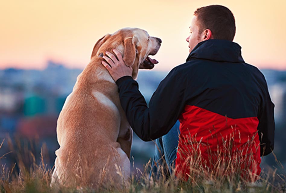 does owning a dog improve your health