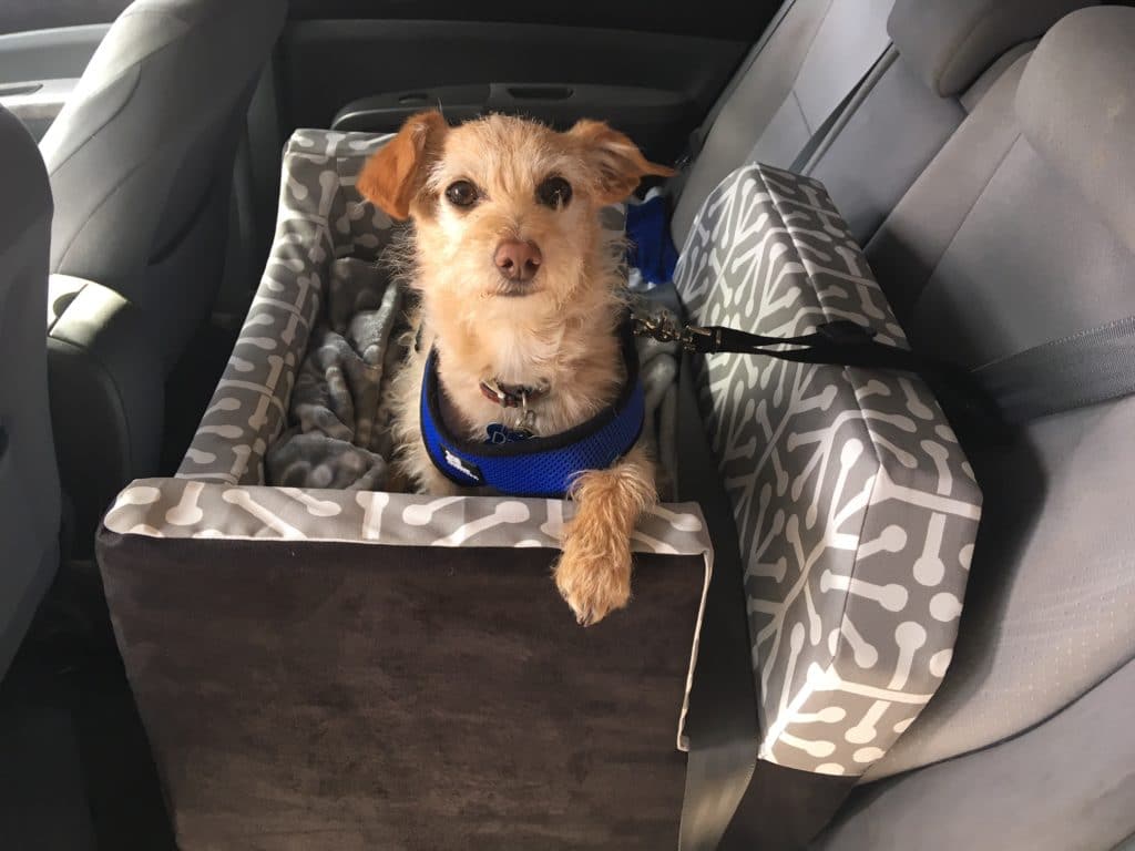 car booster seat