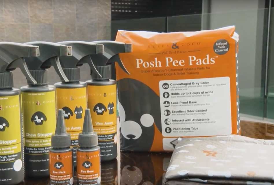 Products to help with Puppy Toilet Training