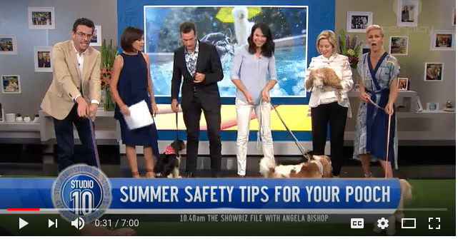 Keeping your dog cool in summer