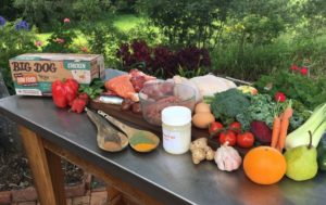 superfoods for dogs