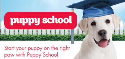 PETstock puppy school – start them off right