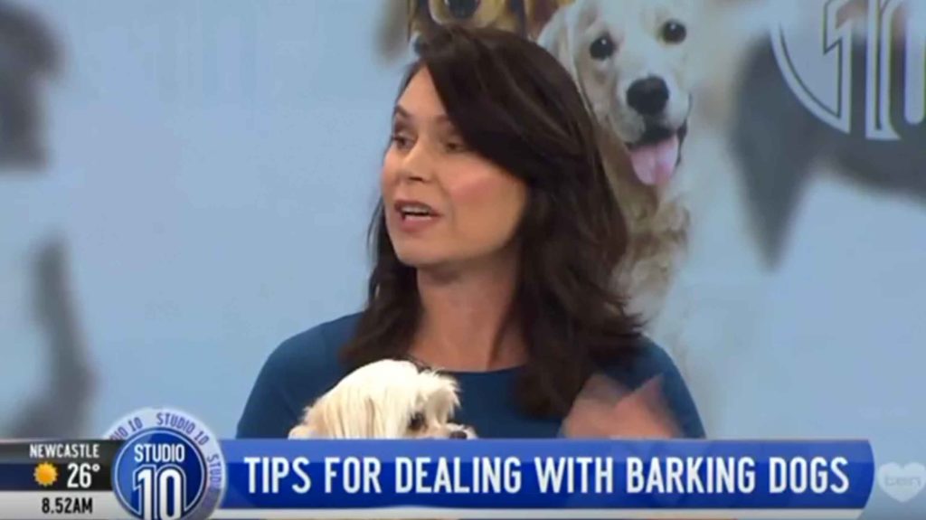 Tips for dealing with barking dogs