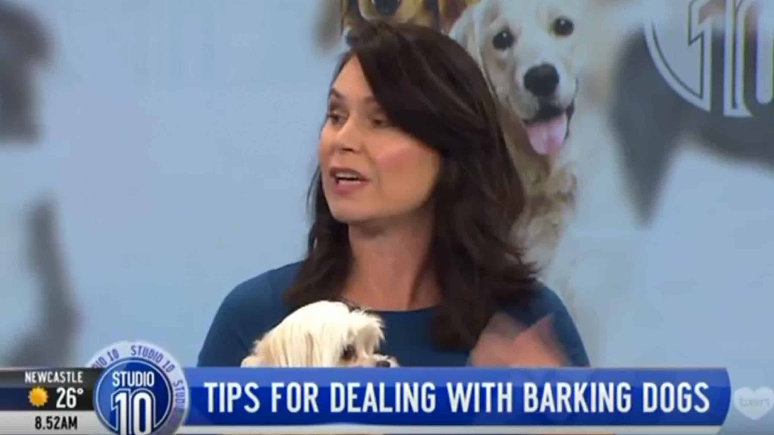 How to help stop dogs barking excessively