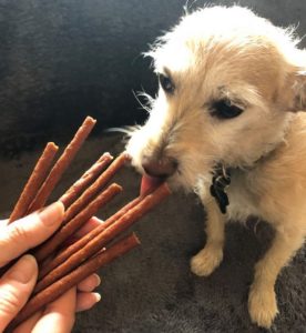 dog treats
