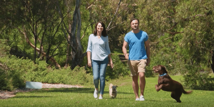 Pooches at Play Series 2 – Full Episode 6