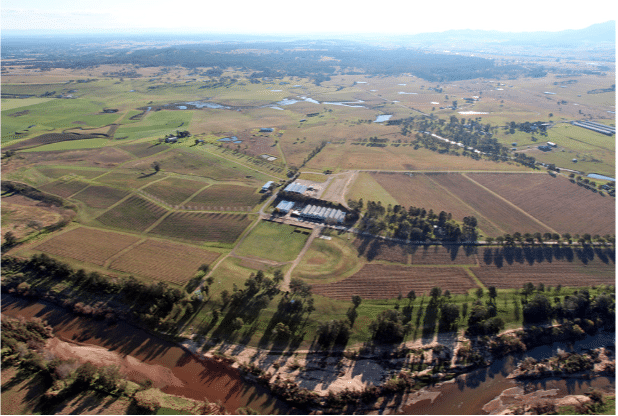 Dalwood Estate, Hunter Valley, NSW