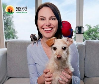 $1 million of grants launched on World Animal Day
