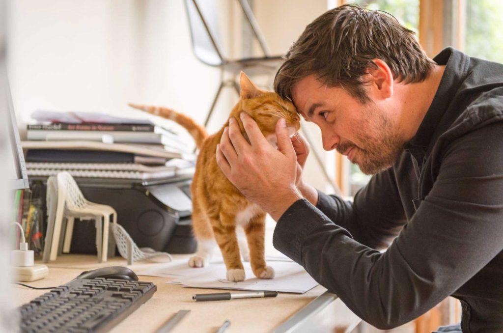 International-Cat-Day