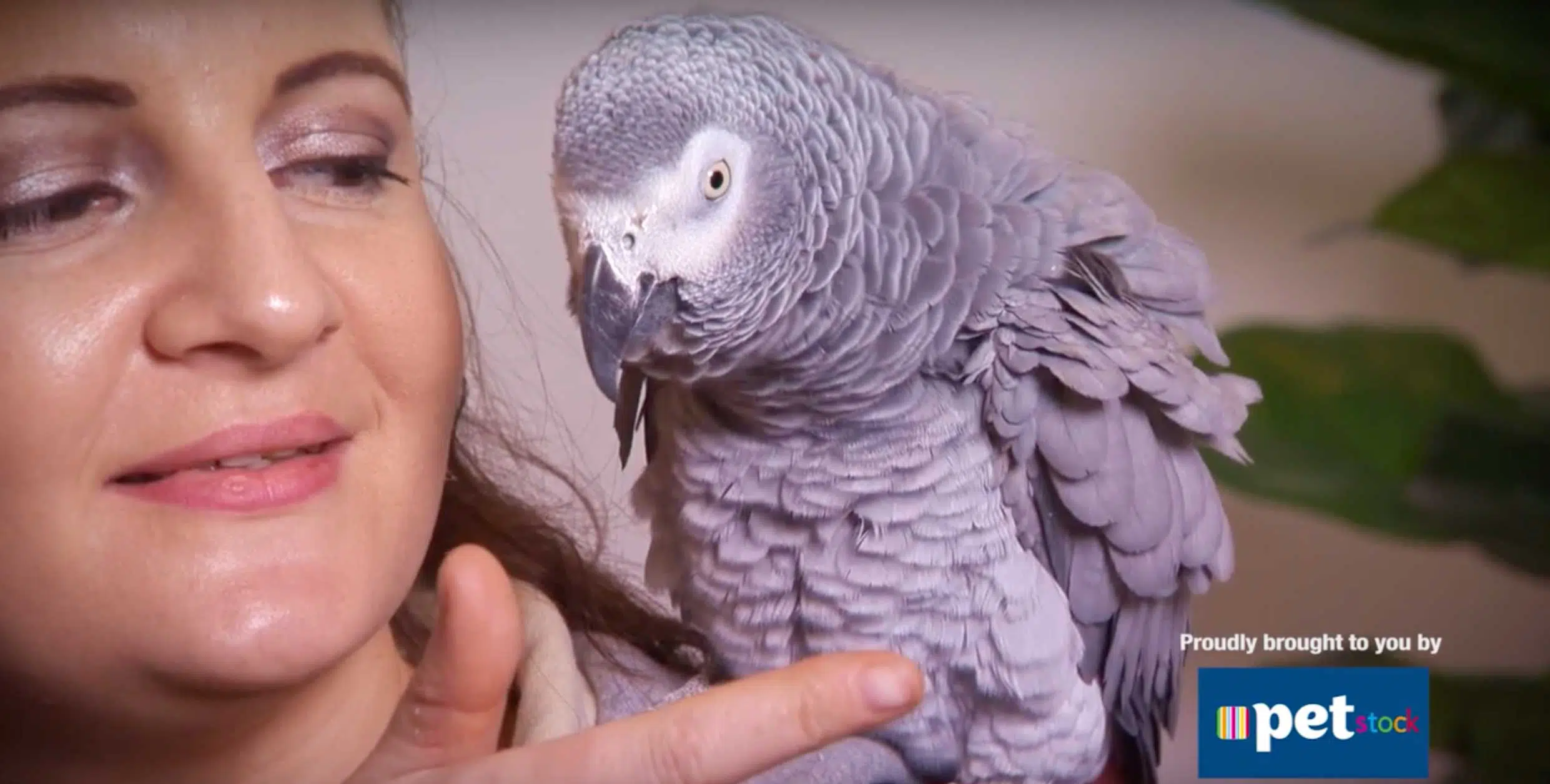 Meet Winta the parrot
