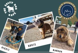 Doggy Fashion Parade at The Salty Dog Cafe Torquay