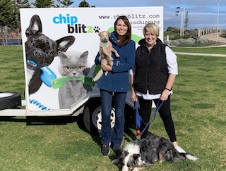 petstock microchipping 2019