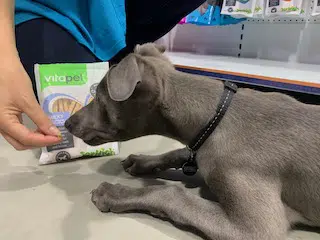 Product Pick: Vitapet Puppy Treats