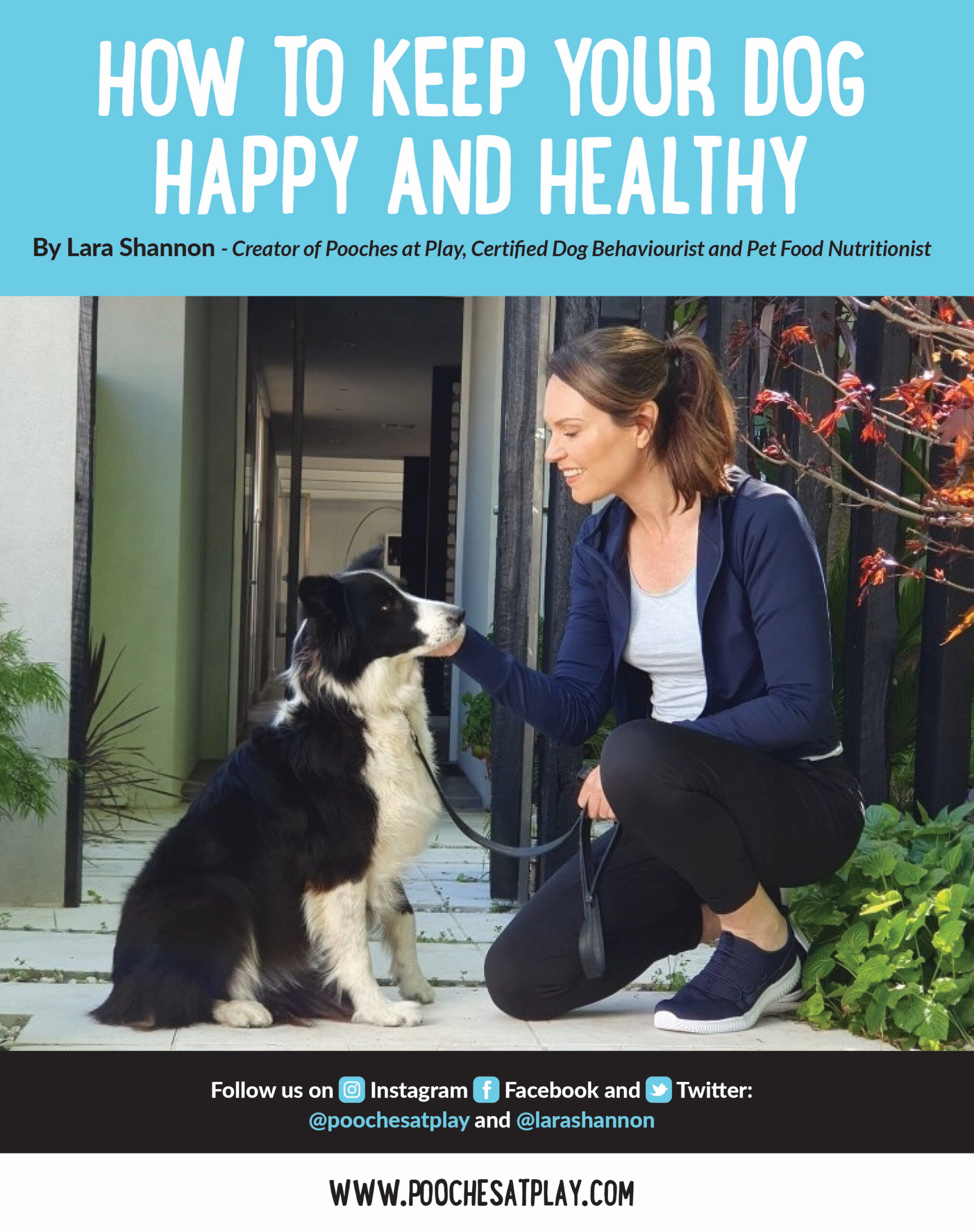 E-book – How to keep your dog healthy and happy