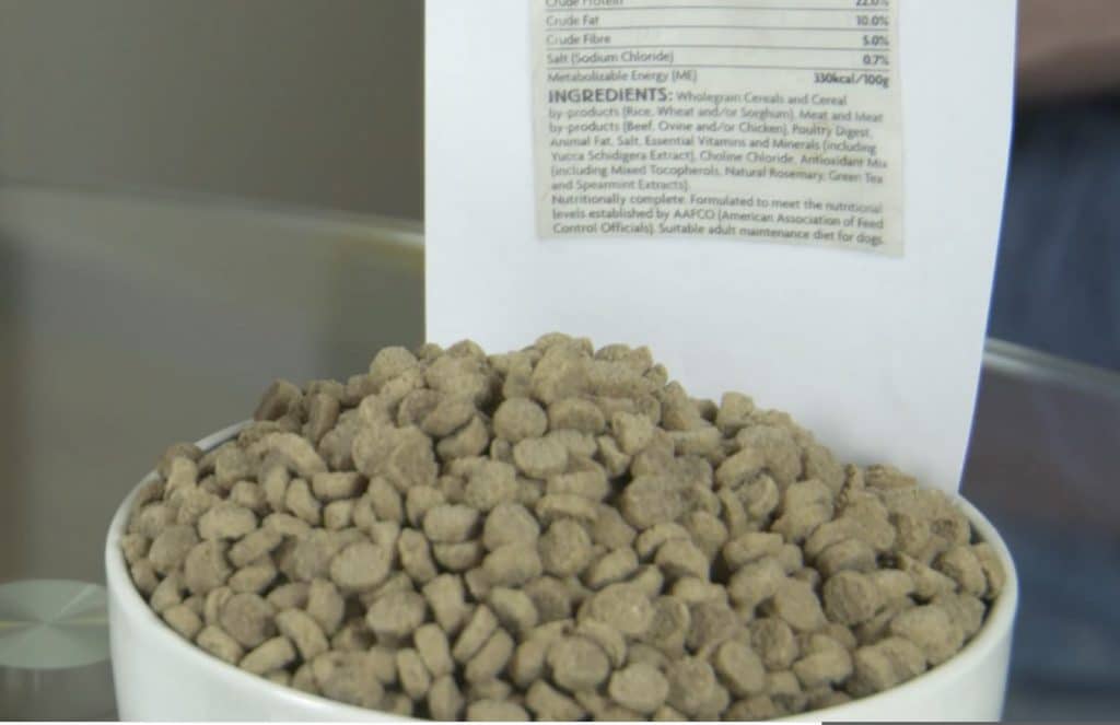 carbohydrates in dog food