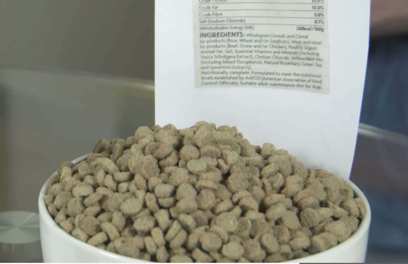Carbohydrates in dog food – what you need to know