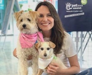 thundershirt petstock