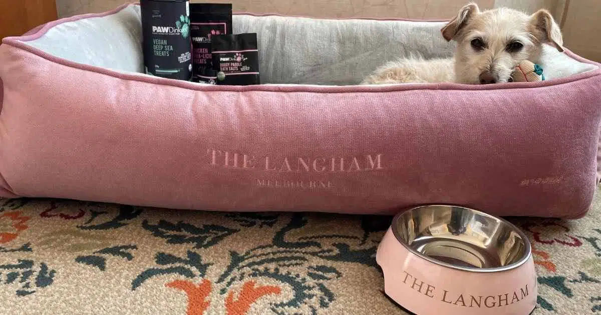 The Langham Melbourne Pampered Pets Package