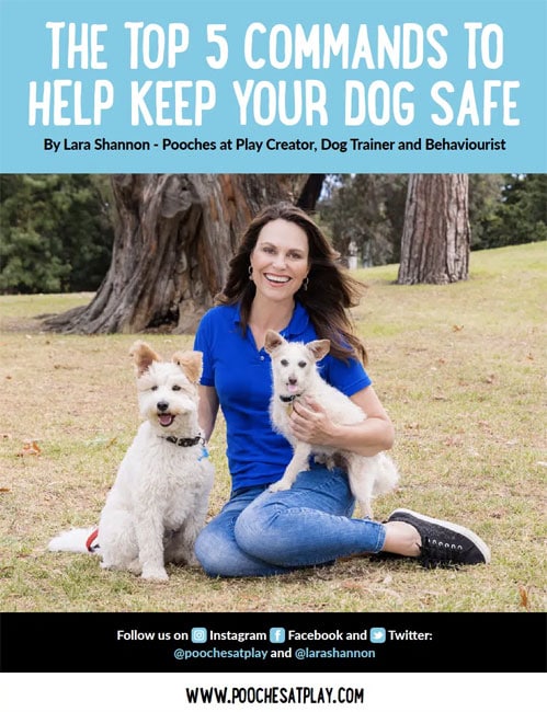 E-book – Top 5 Commands to help keep your dog safe