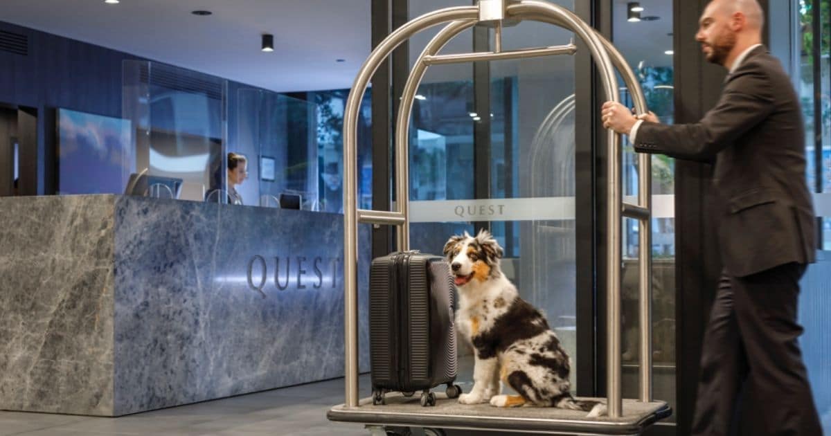 Pet friendly stays at Quest Apartment Hotels