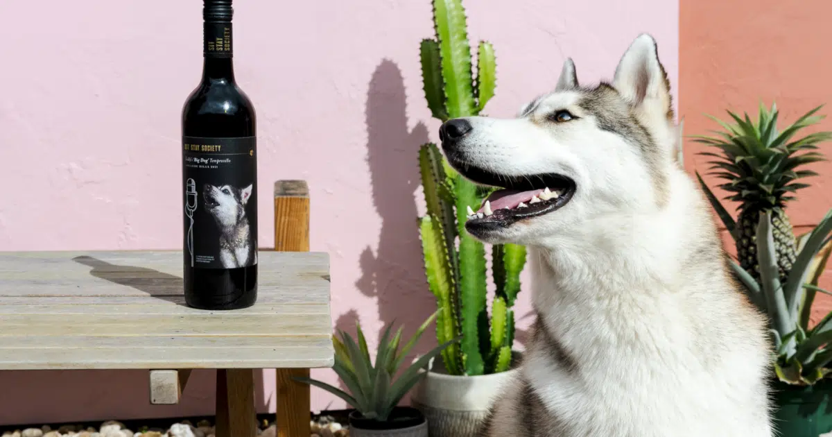 Support PetRescue with Sit Stay Society Wines
