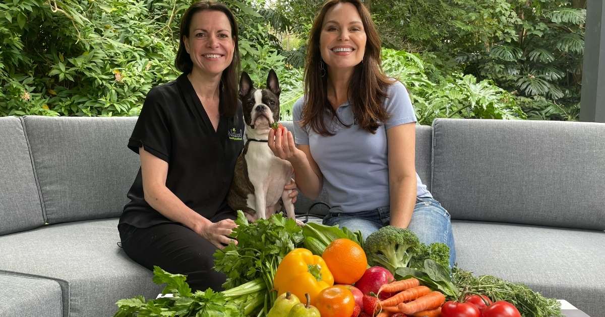Improve a dog’s diet with fruit and vegetables