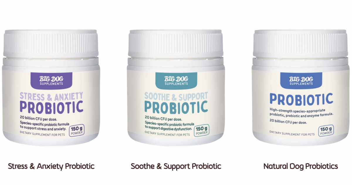 Benefits of probiotics for dogs
