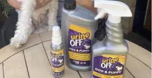 removing dog urine smell