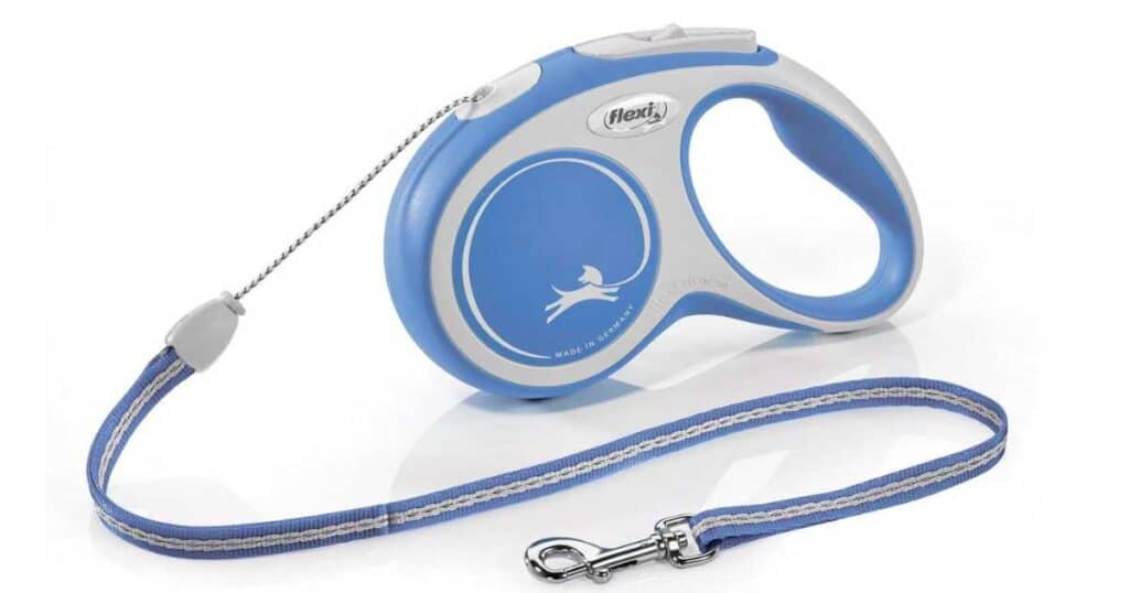 scenting walks for dogs