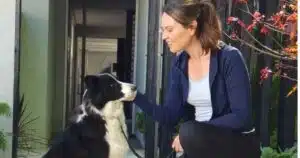 alpha dog training