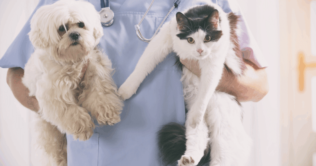 common pet accidents