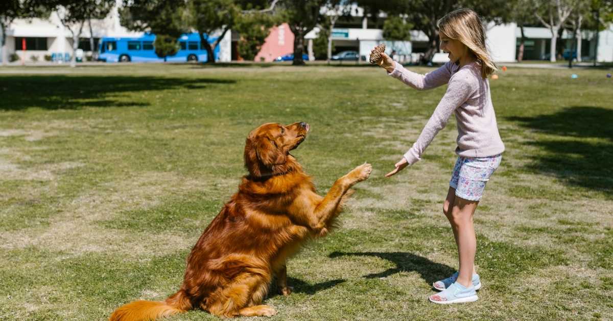 children and dogs