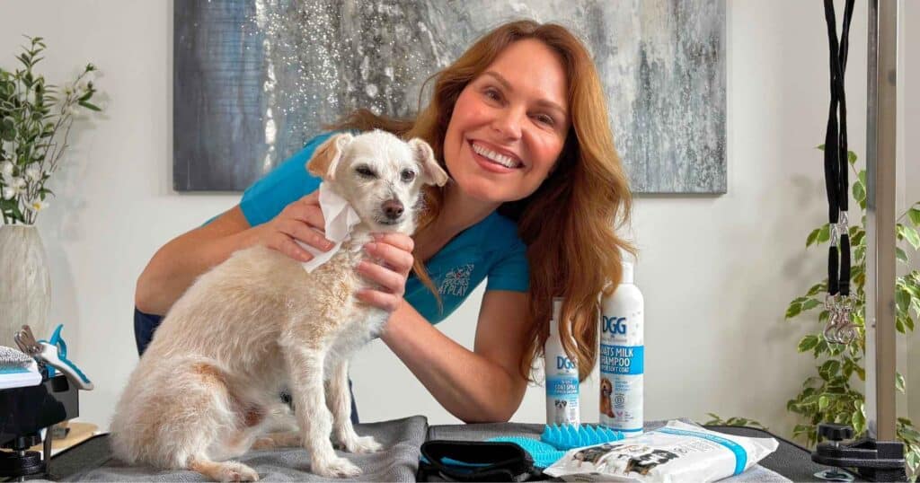 grooming a senior dog
