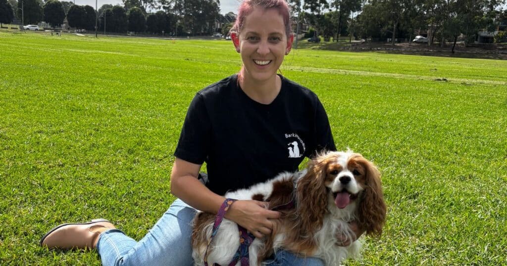 how to find a pet sitter