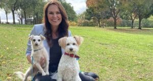 helping a rescue dog settle in