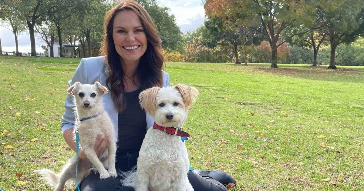 helping a rescue dog settle in