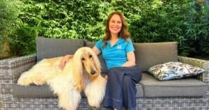 Afghan hound