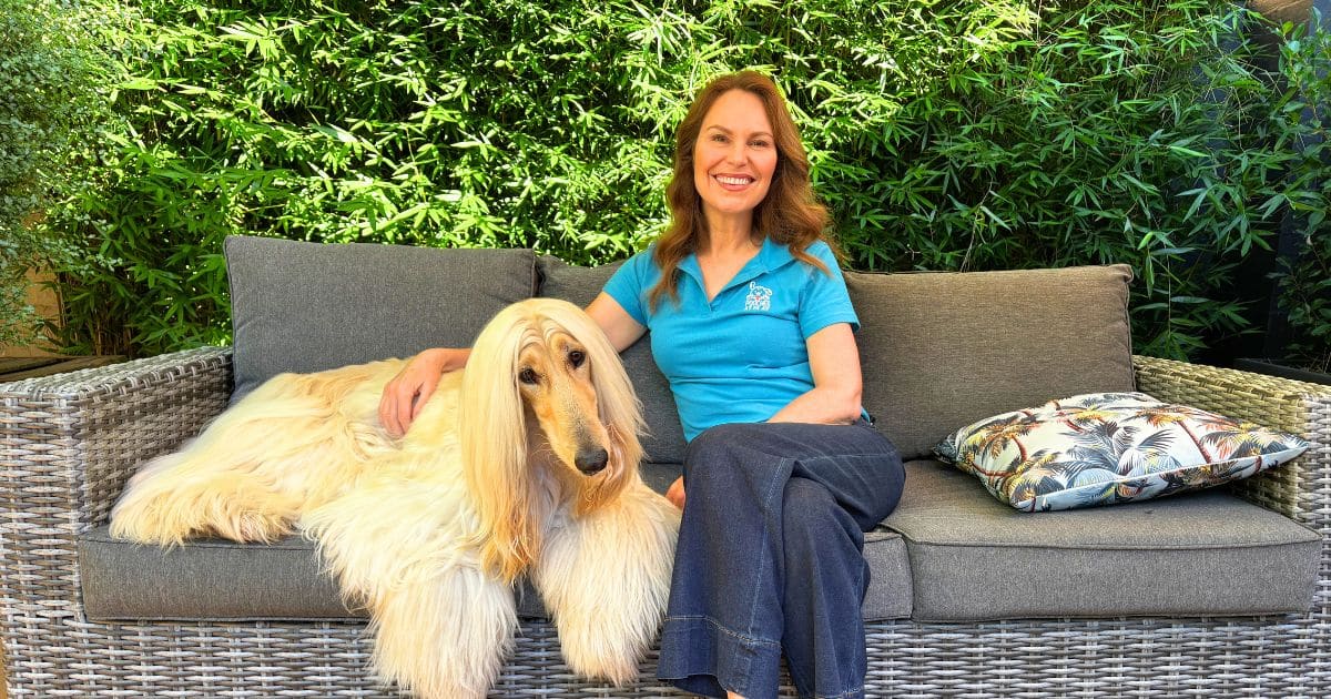 Afghan Hound Breed Profile